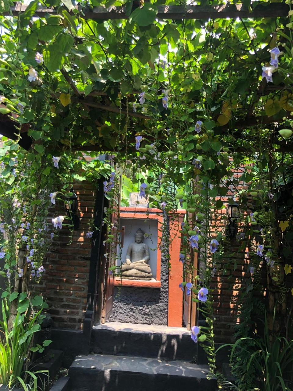 Tribe Theory Startup Village For Entrepreneurs Kuta Lombok Exteriör bild