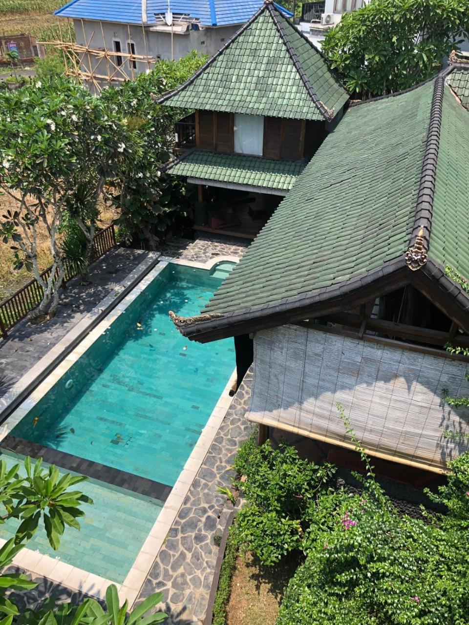 Tribe Theory Startup Village For Entrepreneurs Kuta Lombok Exteriör bild
